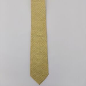 Salvatore Ferragamo Tie